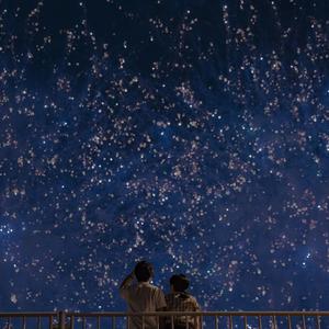 美国三级日本三级久久99
